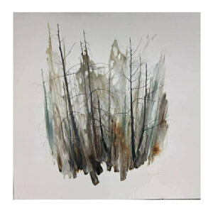 immersion-boreale