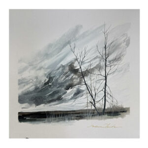 a-travers-les-branche