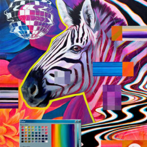 disco-zebra