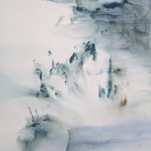 pomme-de-pin-dans-la-neige